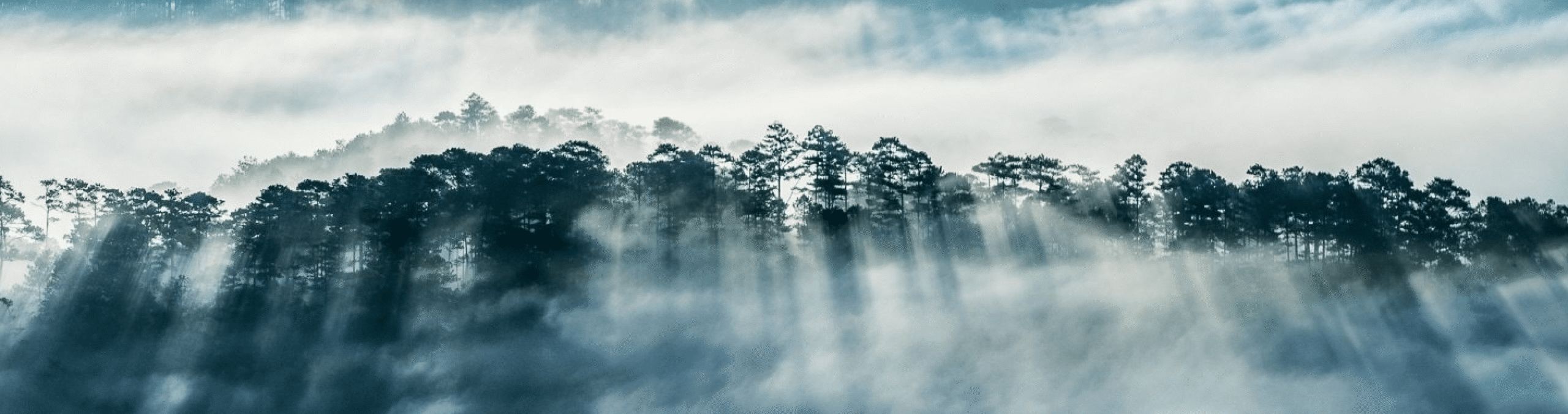 Vé máy bay từ Sài Gòn (SGN) đi Đà Lạt (DLI) giá rẻ