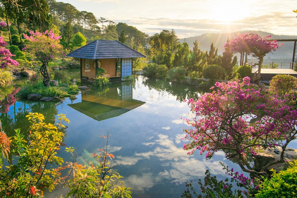 Vé máy bay giá rẻ đi Đà Lạt (DLI)