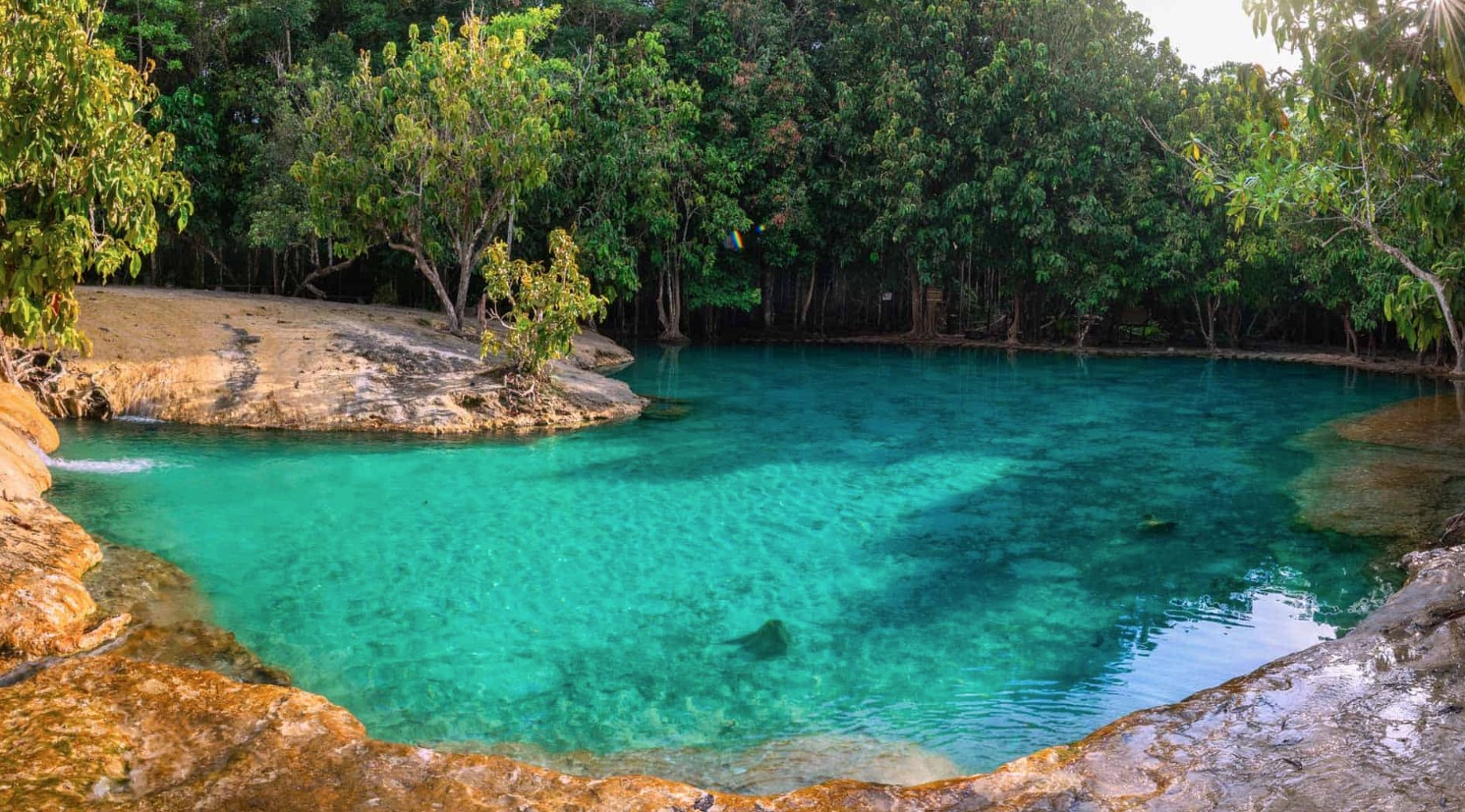 emerald pool krabi