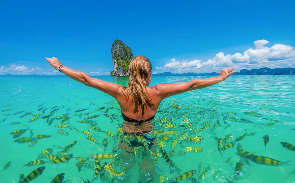 ngắm cá tại Hong island