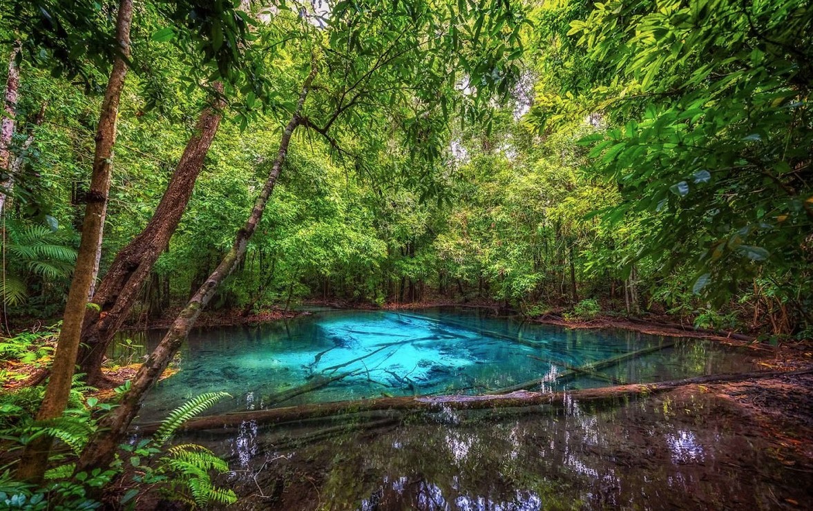 the emerald pool krabi